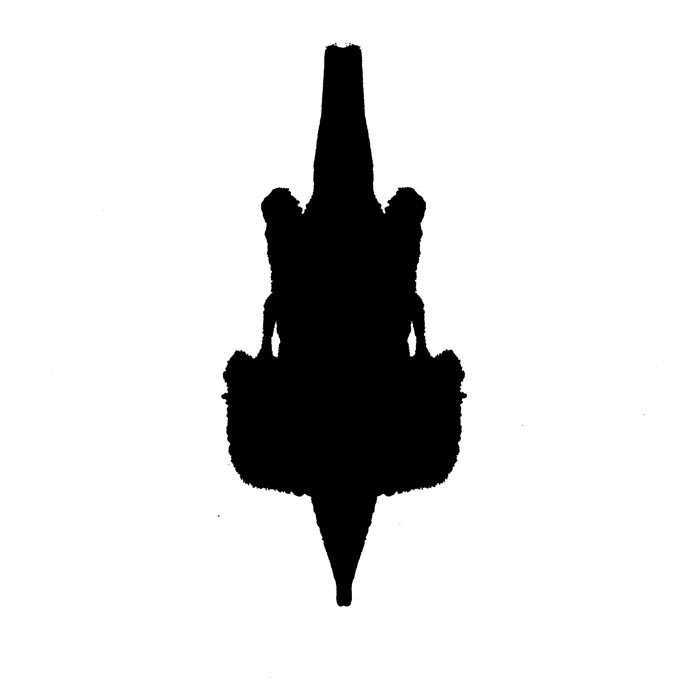 inspiration tests de Rorscharch-encre noire sur feuille pliée-symétrie