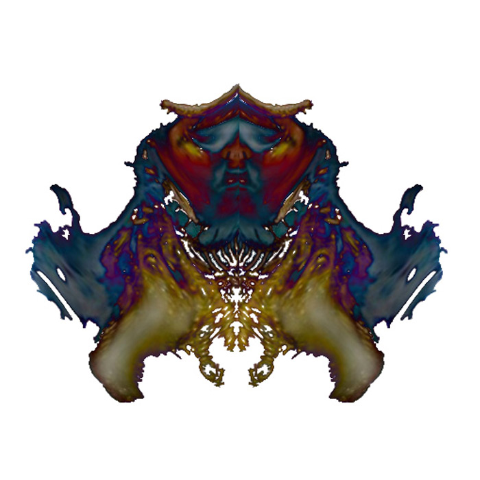inspiration des tests de Rorscharch-effets hallucinations visuelles-effets drogues-effets de symétrie