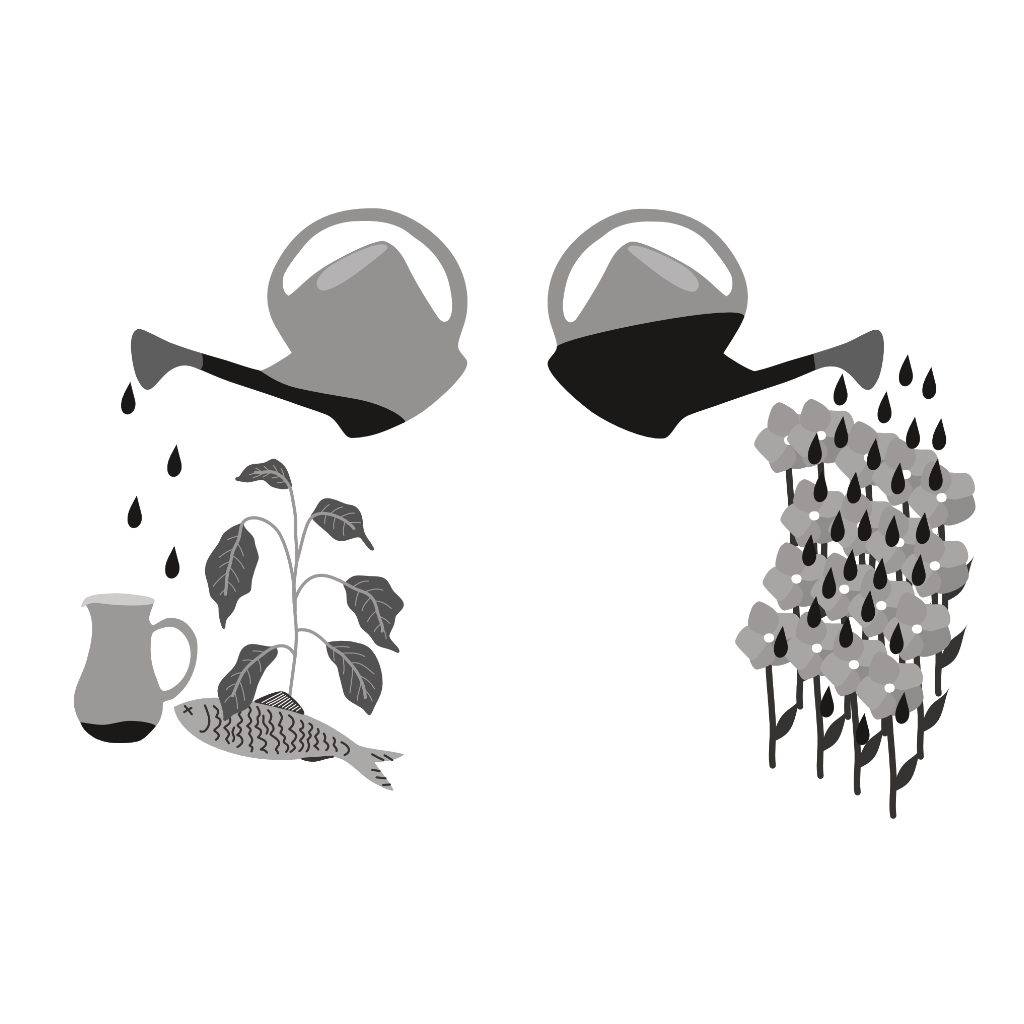 Megabassines La Topette